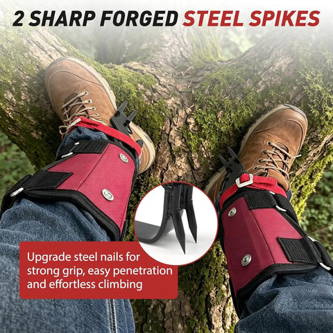 Tree Climbing Spikes Set With Rope And Straps For Climbers Hunters Fruit Pickers And Loggers Durable Wear Resistant Claws
