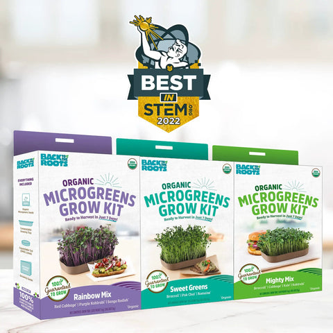 Front view of DIY Microgreen Grow Kit Six Grow Variety Pack For Organic Non GMO Pesticide Free Home Kitchen Garden Easy Setup