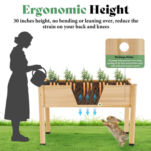 Raised Garden Bed With Sturdy Stand For Backyard Or Patio, 48x30x24 Inch Light Wood Planter Box With Bed Liner, Legs, Divider, Drainage Holes, And 330 Lb Capacity shown with carrots and drainage function; person watering plants.