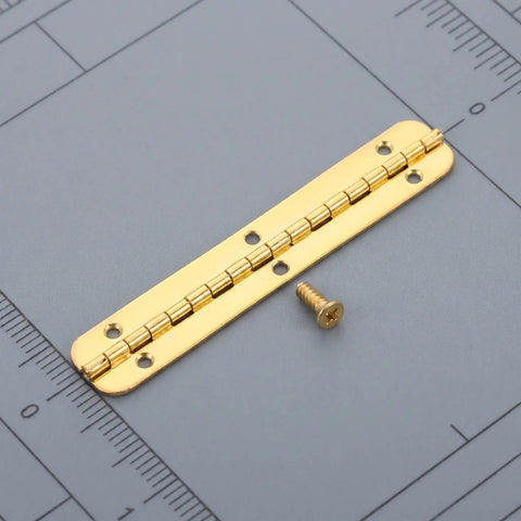 Heavy Duty Continuous Piano Hinges Set, Gold Iron, 8-Piece With Pre-Drilled Mounting Holes shown with a single screw on a measurement grid