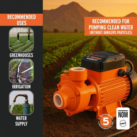 1 HP Electric Peripheral Water Pump With High Pressure Transfer Capabilities Beefy Brass Impeller For Anti Jam Reliability And Pure Copper Windings For Superior Heat Dissipation And Longevity At Home Or On The Jobsite