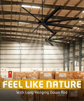 Heavy Hitting Two Pack One Hundred Inch Industrial Ceiling Fan With Remote Control Inside Or Outside Featuring Solid As A Rock Black Metal Blades and No Sweat Operation Covering Up To Four Hundred Square Feet Rooms in a warehouse.