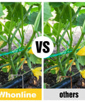 Comparison of Whonline versus other plant supports showing two plants with different support methods.