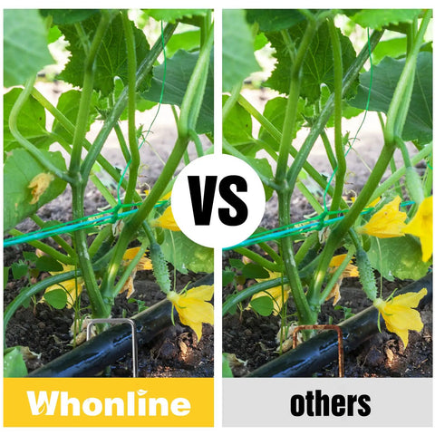 Comparison of Whonline versus other plant supports showing two plants with different support methods.