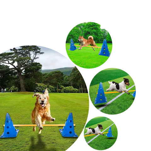 Dog Agility Training Equipment Obstacle Course With Adjustable Ladder Durable Plastic Cones And Wooden Rungs Colorful Blue And Yellow Totally Great For Small To Large Dogs Obedience Coordination And Fitness Practice with dogs jumping in park
