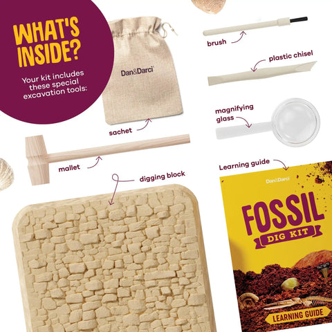 Hands-On Fossil Dig Kit For Kids Aged 8 To 12, Uncover 12 Real Fossils With An Illustrated Guide, A STEM Science Adventure For Boys And Girls, Easy To Use At Home, Educational, Engaging And Totally Fun. Includes digging block, mallet, brush, chisel, magnifier, sachet and guide.