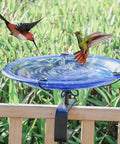 Heavy Duty Deck Mounted Glass Bird Bath With Secure Adjustable Clamp For Garden Railing Patio Fence Or Window Ledge Backyard Wildlife Drinking Fountain with hummingbirds bathing.