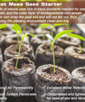 Close-up of seedlings sprouting in 55 Pack 36mm Peat Pellets For Seedlings Seed Starters Plugs Soil Discs That Expand When Wet