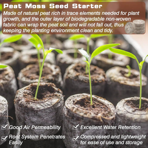 Close-up of seedlings sprouting in 55 Pack 36mm Peat Pellets For Seedlings Seed Starters Plugs Soil Discs That Expand When Wet