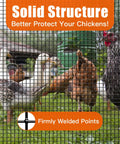 Vinyl Coated Welded Mesh Chicken Wire Fence Roll With 1 Quarter Inch Mesh, 36 Inch By 50 Foot, Galvanized Core For Rustproof Outdoor Use, Built Tough Garden Fence For Home Rabbits And Pets, Black Finish shown protecting chickens outdoors