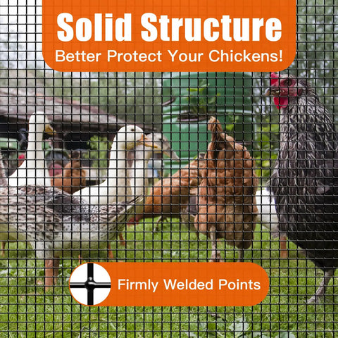 Tough As Nails 24 Inch X 50 Feet Black PVC Coated Chicken Wire Fence Heavy Duty Galvanized Hardware Cloth Roll protecting chickens.