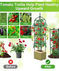 Comparison of tomato plants before and after using the All-in-One Raised Garden Bed Planter Box With Trellis, showing growth benefits.