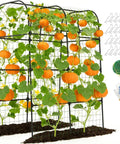 Heavy Duty 7.3Ft Cucumber Trellis For Raised Bed Garden Arch With Net Rustproof Steel supporting squash and cucumber vines