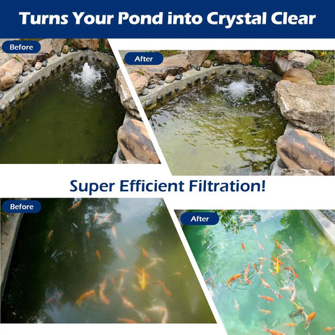 Before and after images of a pond using Pond Waterfall Kit With 850 GPH Pump 12 Inch Stainless Steel Spillway Remote Control LED Lights Four Stage Filtration For Outdoor Water Features Gardens And Pools Easy Setup No Fuss Install, showing clear water and fish.