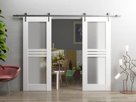 Modern Double Barn Door Set With 4 Lite Panels And 13 Ft Silver Rail Track Includes 2 Solid Interior Slabs And Full Sliding Hardware Kit For An Easy Install shown in a living room