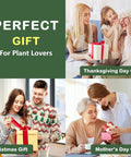 Collage of families giving gifts for Thanksgiving, Christmas, and Mother's Day, captioned 'Perfect Gift for Plant Lovers.'