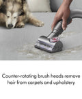 Dyson Ball Animal upright vacuum cleaner on gray carpet; corded, self-adjusting cleaner head.