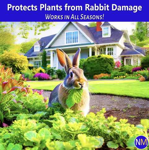 Rabbit in garden near house, showcasing Ready-To-Use Bunny-Proof Outdoor Rabbit Repellent Spray With Mint Scent, Safe for People Pets and Plants.