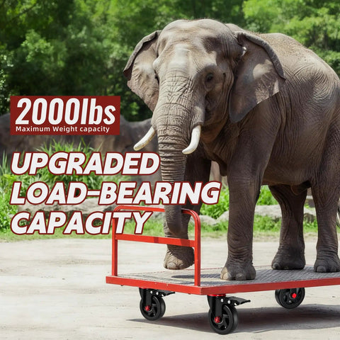 Heavy Duty 4 Inch Caster Wheels With Dual Lock Brakes 2400 Lb Capacity Set Of 4 Non Marking Rubber Tires under an elephant.