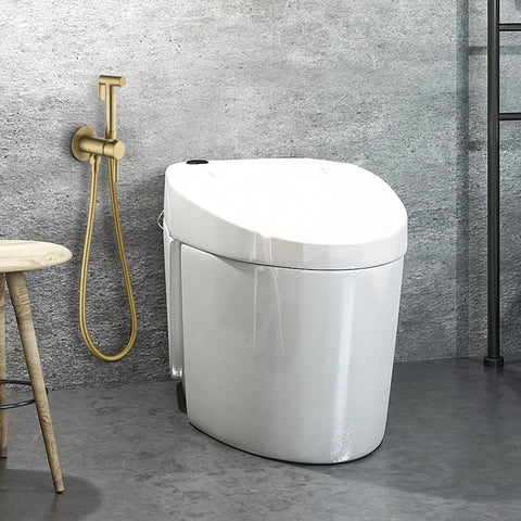 Warm Water Bidet Sprayer With Hot And Cold Brass Rough In Valve And SUS304 Stainless Steel Round Handheld Attachment For Toilet