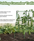 Folding cucumber trellis with green vines and cucumbers against a garden backdrop.