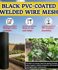 Heavy Duty Black Vinyl Coated Hardware Cloth 1/2 X 48 X 100 Foot 19 Gauge Welded Wire Fence Mesh for garden and animal enclosures.