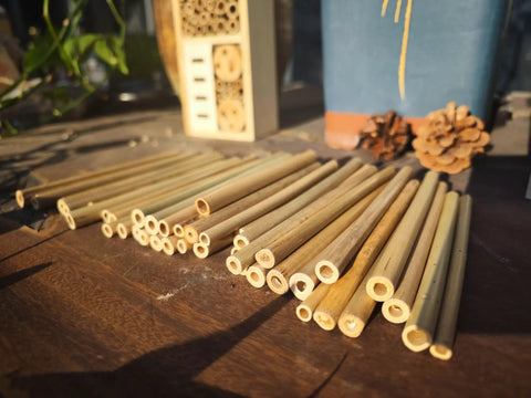 Solitary Bee Bamboo Tubes 4 Inch Pack Of 100 Bee Friendly Nesting Tubes For Mason Bee Houses Garden Pollination Kits