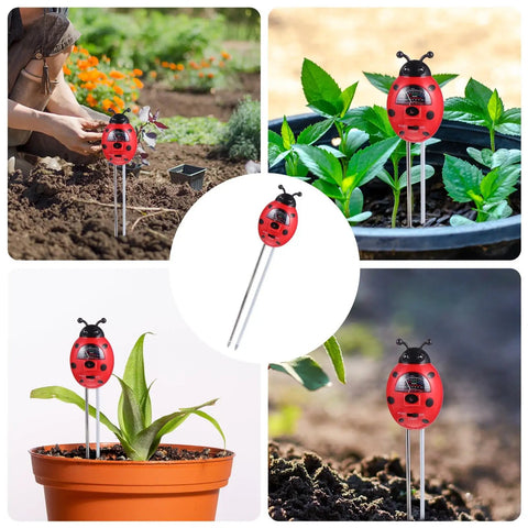 Collage of 3 In 1 Ladybug Soil Tester Kit for Garden and Lawn measuring soil pH, moisture, and nutrients, visible in garden and pot settings.