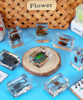 Nine Insect Resin Specimen Set With 9 Unique Bugs, Kid-Friendly Paperweights And Educational Classroom Decor on a wooden table