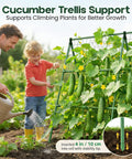 A Frame Garden Trellis For Raised Beds Ideal For Cucumbers Peas Zucchini Squash Tomatoes And More Built To Last With Rust Resistant Steel Easy Assembly In Minutes For Outdoor Climbing Plants supporting cucumbers