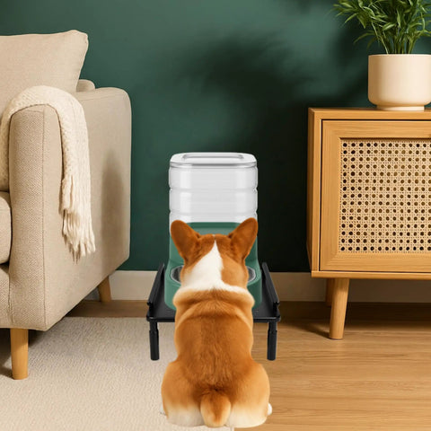 Built Tough Metal Elevated Pet Feeder Stand With Easy Adjust Height behind a corgi, showcasing a water jug on a sturdy base.