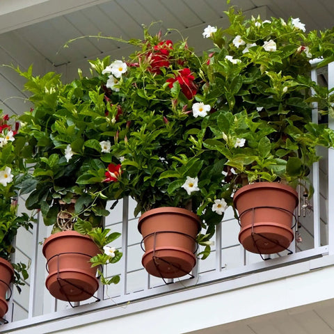 Floating Railing Plant Clip For 1/2 To 3/4 Inch Narrow Spindle shown with pots on a balcony railing, easily installed with no tools needed.