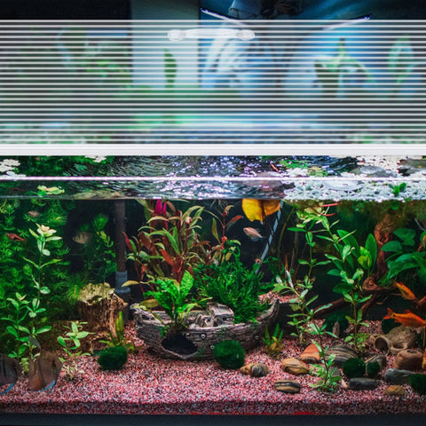 Durable Polycarbonate Aquarium Canopy Set For 20, 29, And 37 Gallon Tanks Clear Fish Tank Lid Without Center Brace 29 X 11.38 X 0.24 Inches Easy Top Access Crack Resistant Keeps Heat In And Pets Out