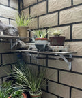 Heavy Duty Triangular Corner Shelf Brackets 2 Pack White Steel Wall Mounts For Scaffold Boards used to support potted plants on wall shelves.