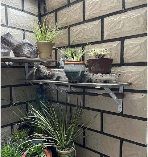 Heavy Duty Triangular Corner Shelf Brackets 2 Pack White Steel Wall Mounts For Scaffold Boards used to support potted plants on wall shelves.