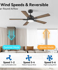 52 Inch Smart Ceiling Fan With Lights Remote Quiet DC Motor Indoor Outdoor Modern Farmhouse Style Dimmable 6 Speed WiFi