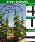 Heavy Duty Garden Arch Trellis For Climbing Plants With Adjustable Width Sturdy Metal Plant Support in garden with vines.