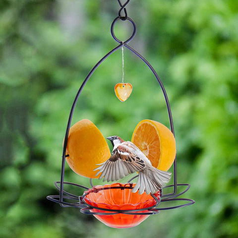 Orange Oriole Bird Feeder With Easy Clean Detachable Bowl, Durable Eco Friendly Plastic And Powder Coated Metal hanging outdoors