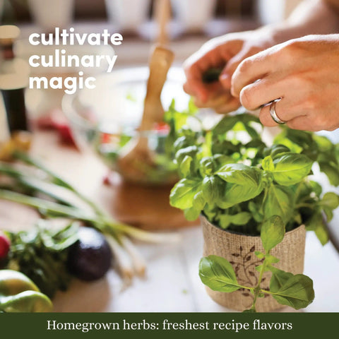 Person preparing dish with fresh herbs from 9 Herb Indoor Window Garden Kit With Seed Starter For Fresh Homegrown Herbs, Easy To Grow In Kitchen, Complete Starter Pack, Perfect Gift For Moms, Women, Friends, Housewarming And Birthdays.