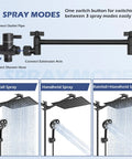Diagram of High Pressure Rain Shower Head With Handheld Spray Combo showing 3 spray modes and connection points.
