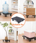 Lightweight Polypropylene Dolly With 200 Lb Capacity carrying water bottle, boxes, plant, and storage bin in different scenarios.