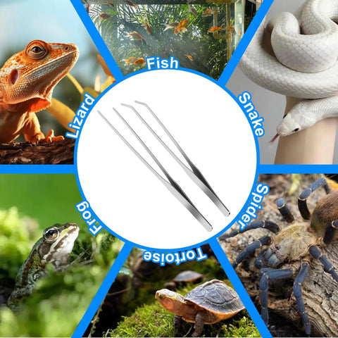 Collage of animals and Two Pack Reptile Feeding Tongs 10.6 Inch Straight And Curved Extra Long Tweezers Pro Grade Stainless Steel Feeding Tools.