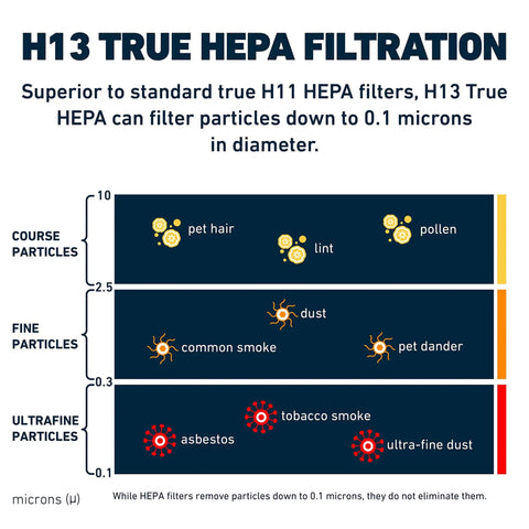 Diagram showing particle types filtered by H13 True HEPA including pet hair, pollen, and asbestos.
