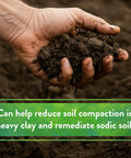 Hand holding clay soil for Organic Garden Gypsum Calcium Sulfate Granules For Clay Soil Greens Grade Mini Granules That Really Loosen Heavy Clay And Boost Drainage Root Growth Safe For PH Sensitive Plants 5 Lb Bag.