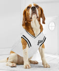 Beagle wearing NBA San Antonio Spurs Road Dog Jersey For Dogs And Cats In Team Color, Comfortable Stretchable Material, Small Size