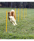 Dog navigating weave poles from Dog Agility Training Set With Six Weave Poles And Adjustable Jump Bar Outdoor Obstacle Course