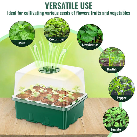 5 Pack 60 Cell Seed Starter Trays With Built In Grow Light Kit Humidity Dome And Base Plug And Grow Indoor Seed Germination Kit