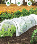 Mini Greenhouse Tunnel For Outdoors with PVC cover and hoops protecting plants in garden, leaves visible inside structure.