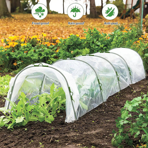 Mini Greenhouse Tunnel For Outdoors with PVC cover and hoops protecting plants in garden, leaves visible inside structure.