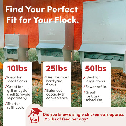 Heavy Duty Galvanized Trough Chicken Feeder Gravity Fed 10 Lbs Capacity With Removable Rain Hood for outdoor coop options.